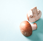 Mushroom food photography